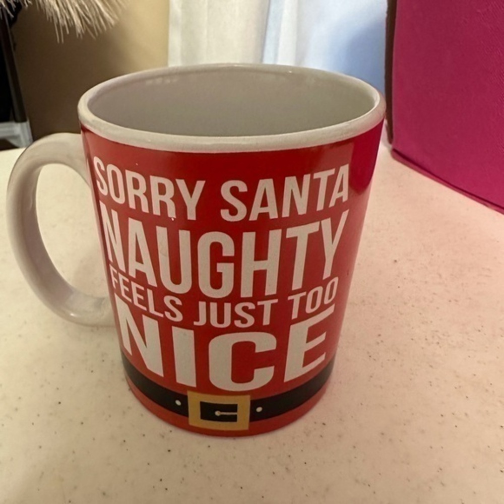 "Sorry Santa Naughty Feels Just Too Nice"  Christmas Coffee Mug Cup. 18 ounce